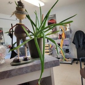 Meet your Posher, Joyce